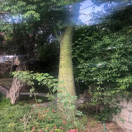 Hur tatil evi * Gündoğan